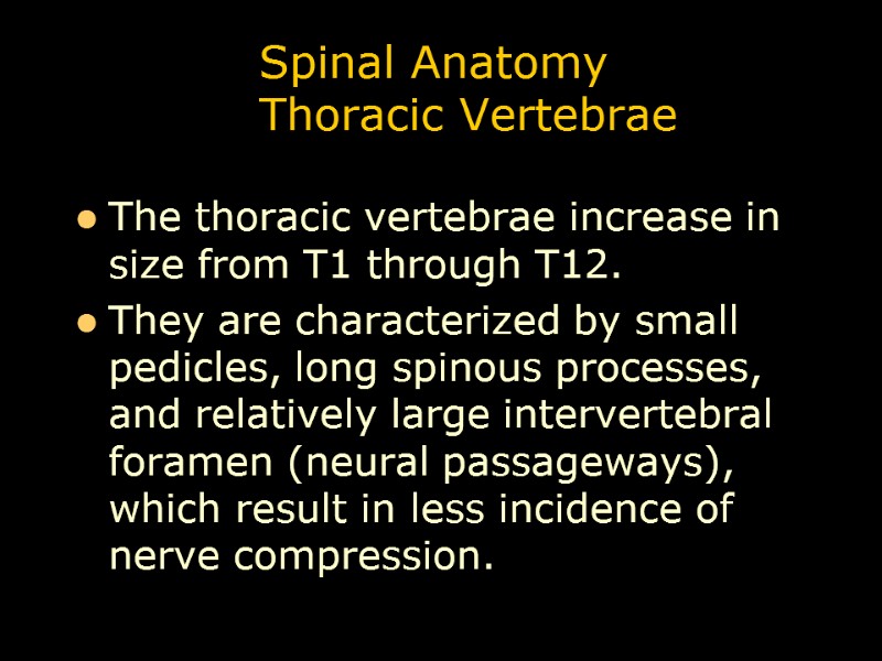 Spinal Anatomy Thoracic Vertebrae The thoracic vertebrae increase in size from T1 through T12.